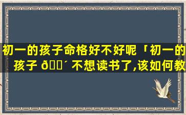 初一的孩子命格好不好呢「初一的孩子 🐴 不想读书了,该如何教育」